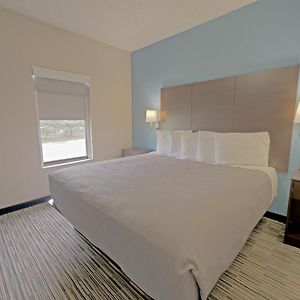 One Bedroom King Suite Sofa Bed